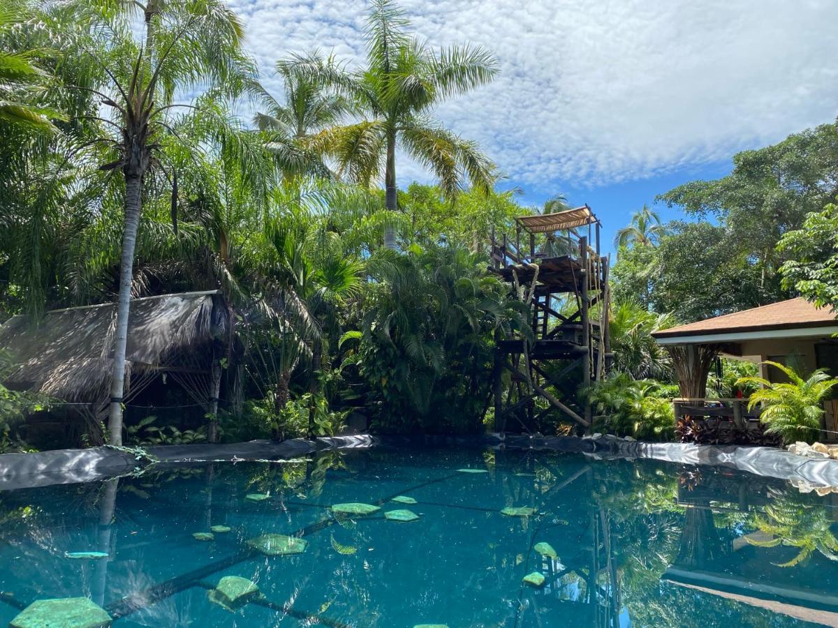 Willa Jardin Secreto Centro Holistico Acapulco Zewnętrze zdjęcie