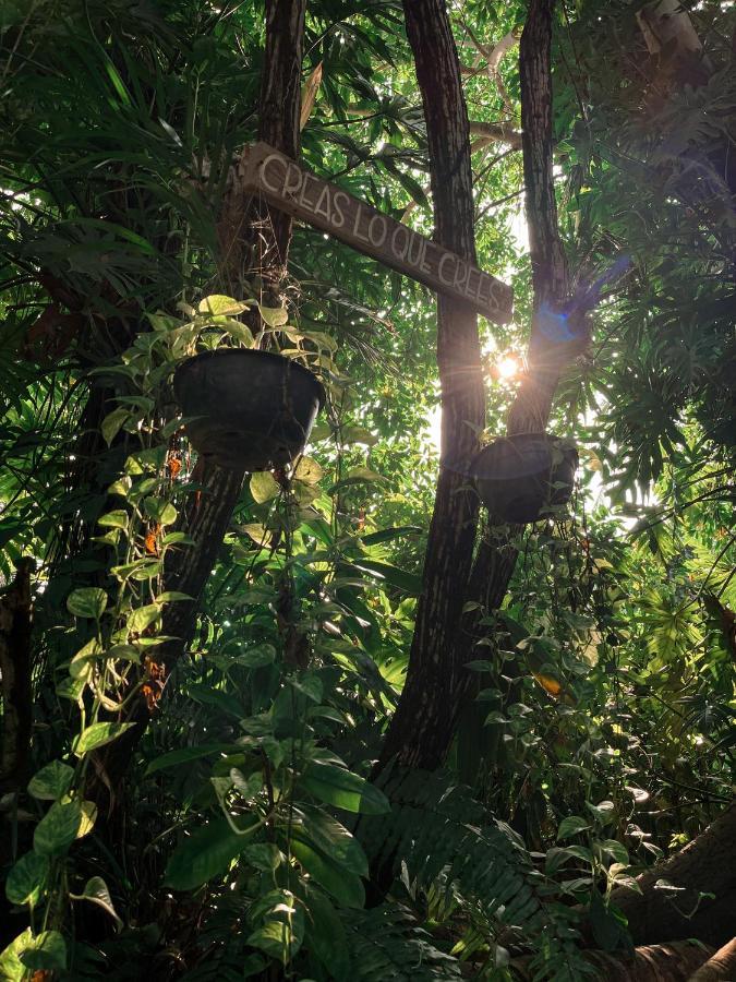 Willa Jardin Secreto Centro Holistico Acapulco Zewnętrze zdjęcie