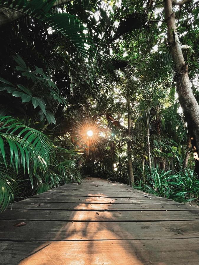 Willa Jardin Secreto Centro Holistico Acapulco Zewnętrze zdjęcie